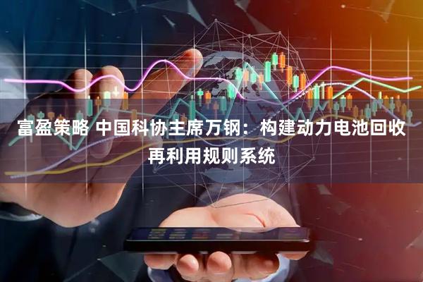 富盈策略 中国科协主席万钢：构建动力电池回收再利用规则系统